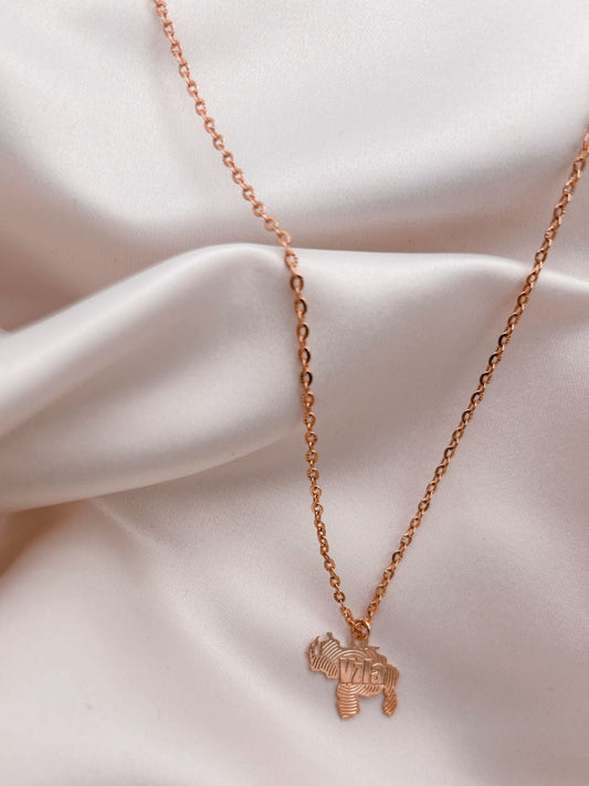 Venezuela Necklace - Fingerprint